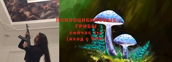 дурь Богданович